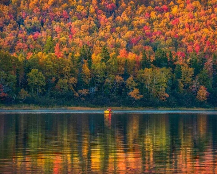 A lake with a reflection of a forest in autumn colors. 2