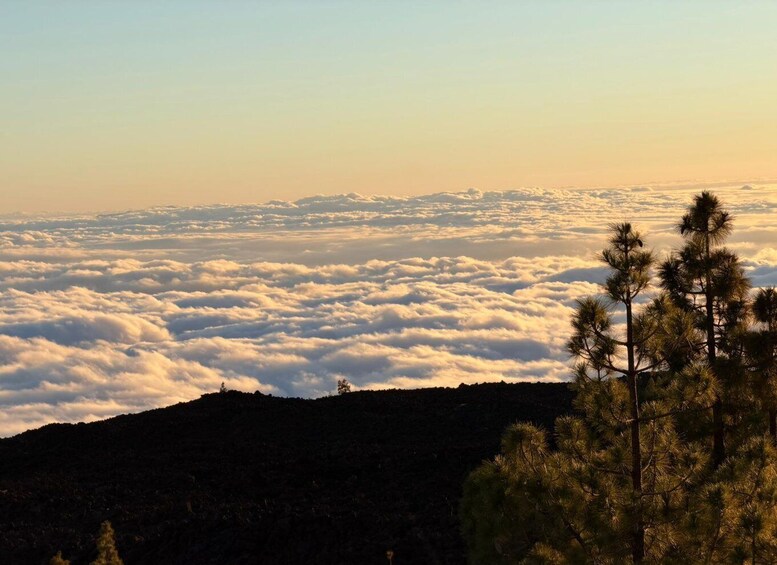Picture 1 for Activity Teide Sunset Tour above the Clouds 2