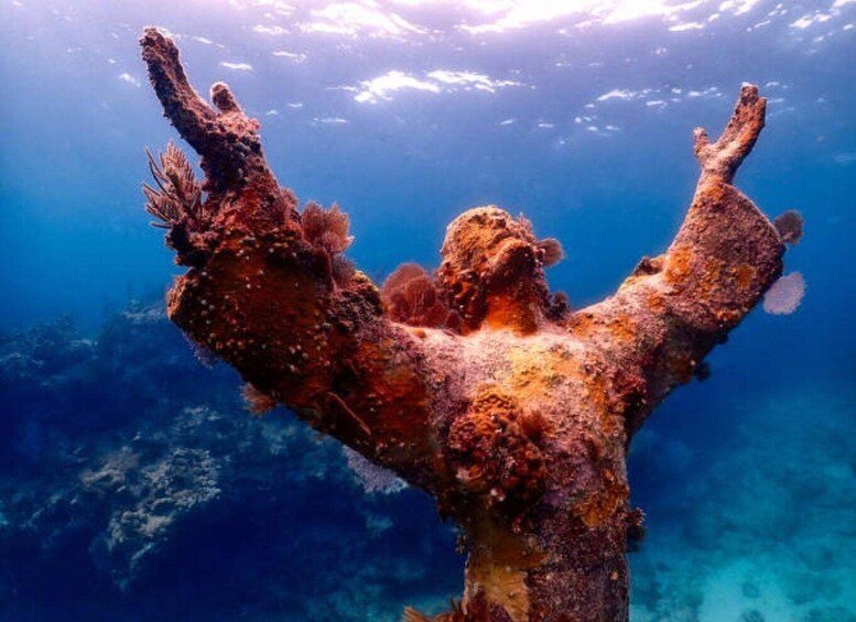 A rusted statue with outstretched arms submerged underwater. 1