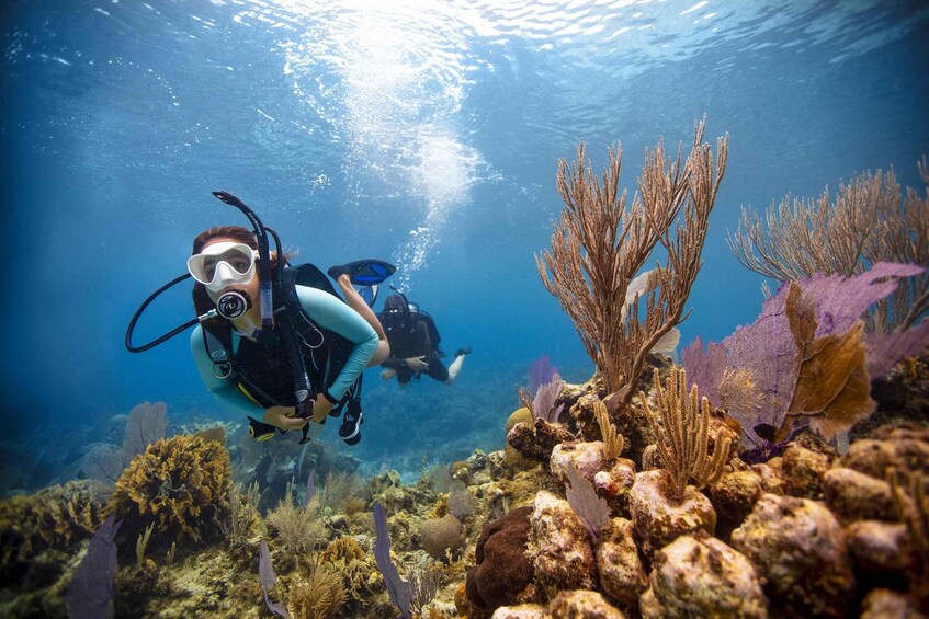 Two scuba divers underwater with coral reefs and marine life. 2