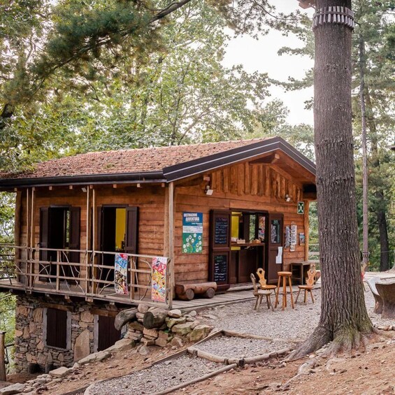 A rustic wooden cabin with a gravel path leading to it, surrounded by trees. 2