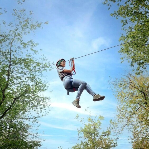 A person zip-lining through a forest with trees on either side. 3