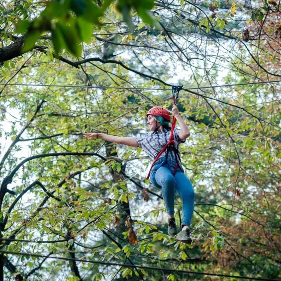 A person zip-lining through a forest with dense foliage. 5