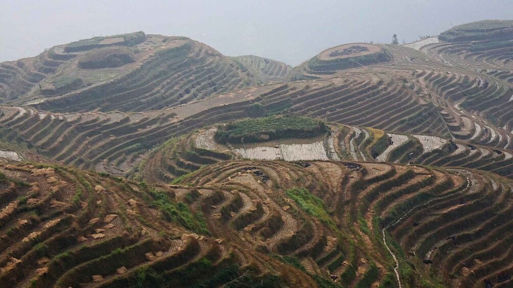 Guizhou: Jiabang Rice Terraces Photography Day Tour 1