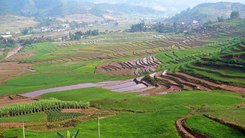 Picture 3 for Activity Guizhou: Jiabang Rice Terraces Photography Day Tour 3