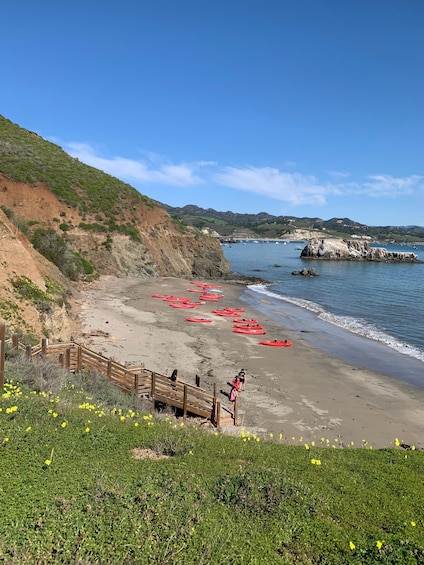 Avila Beach: Wildlife and Coastal Paddle Tour 1