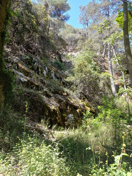 Picture 2 for Activity Troodos Mountains: Forest Hike & Waterfall Tour 4