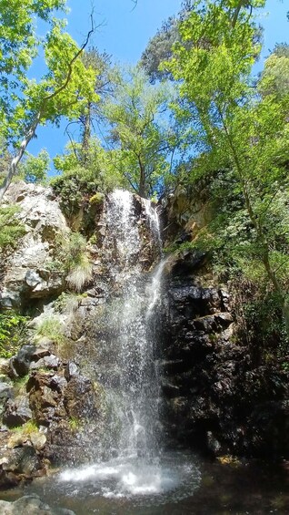 Troodos Mountains: Forest Hike & Waterfall Tour 1