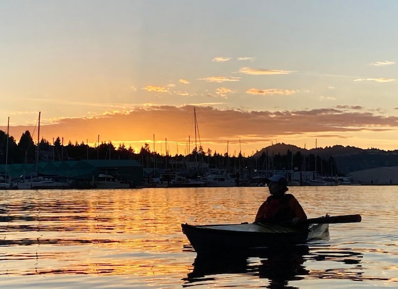 Sunset Tour- Nanaimo Harbour 1