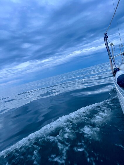 Picture 3 for Activity Exclusive sailing tour along the Skärgård coast 2