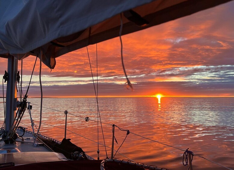 Picture 2 for Activity Exclusive sailing tour along the Skärgård coast 4