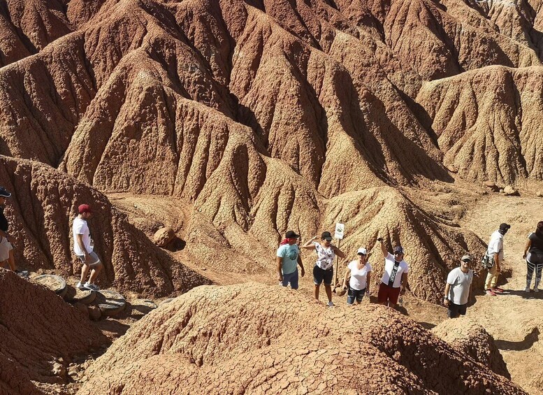 Picture 9 for Activity Tatacoa Desert: paleontological and geological secrets 5
