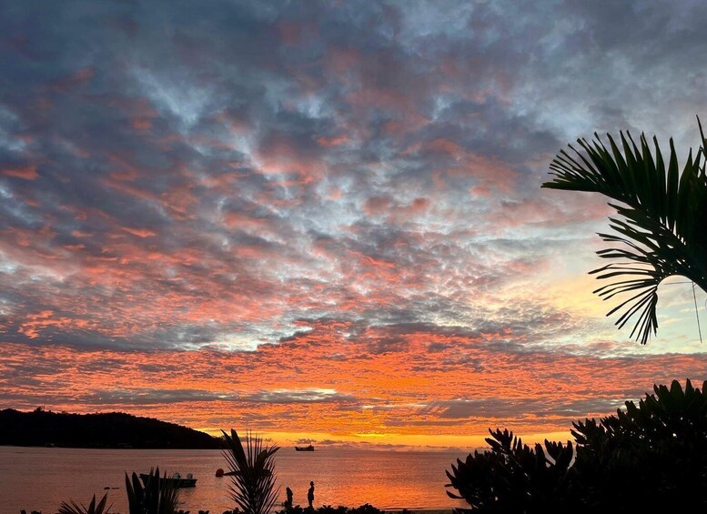 A sunset over a body of water with a silhouette of a person and palm trees. 2