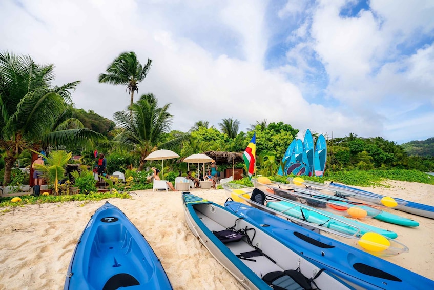 A beach with kayaks lined up, palm trees, and a tropical setting. 3