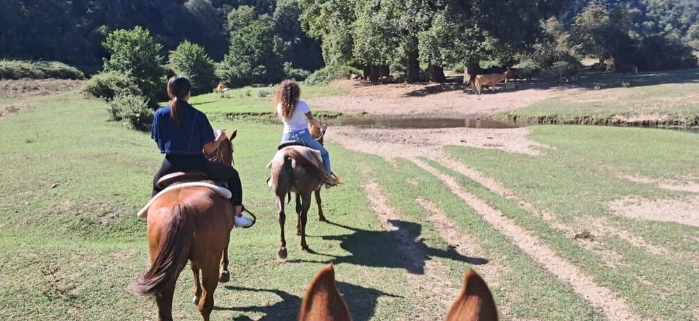 Two people riding horses on a grassy field with trees in the background. 1