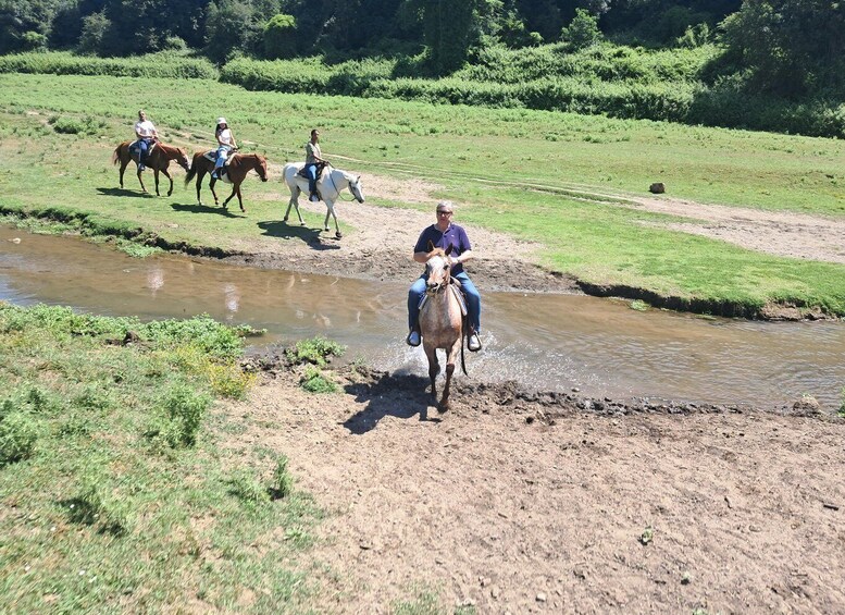 Picture 9 for Activity Horseback ride in the Sorbo Valley with cottage use and breakfast 2