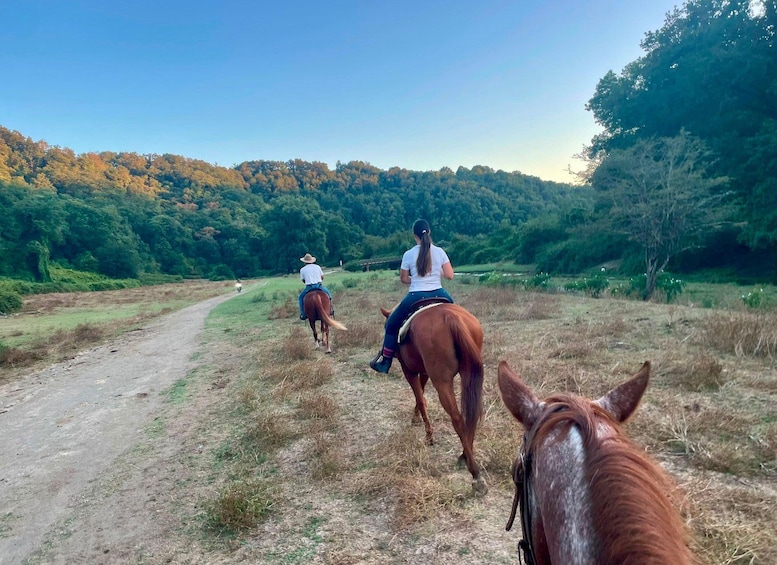 Two people riding horses on a dirt path with a forested hill in the background. 1