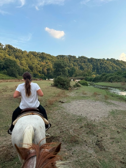 A person riding a horse on a grassy path with a forested hill in the background. 4
