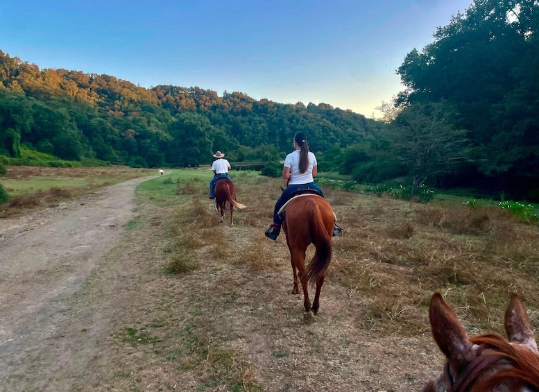 Two people horseback riding on a dirt path through a forested area. 3