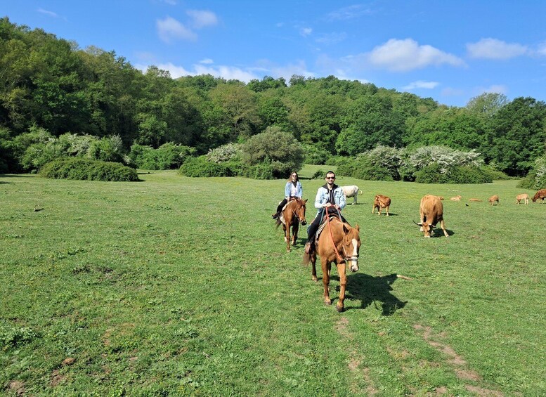 Picture 2 for Activity Horseback ride in the Sorbo Valley with cottage use and breakfast 4