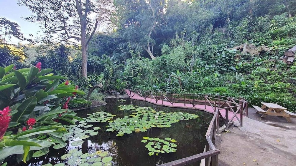 Picture 2 for Activity San Salvador: Boquerón National Park & Botanical Garden Tour 3