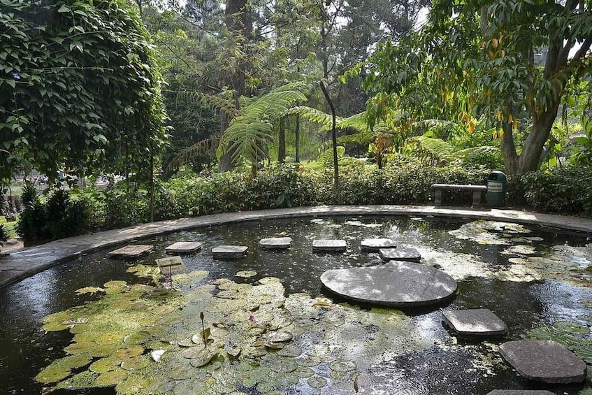 Picture 1 for Activity San Salvador: Boquerón National Park & Botanical Garden Tour 2