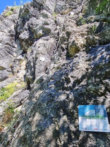 Picture 2 for Activity Discover the Vârghiș Gorges: Șoim Călător Via Ferrata & Hike 1