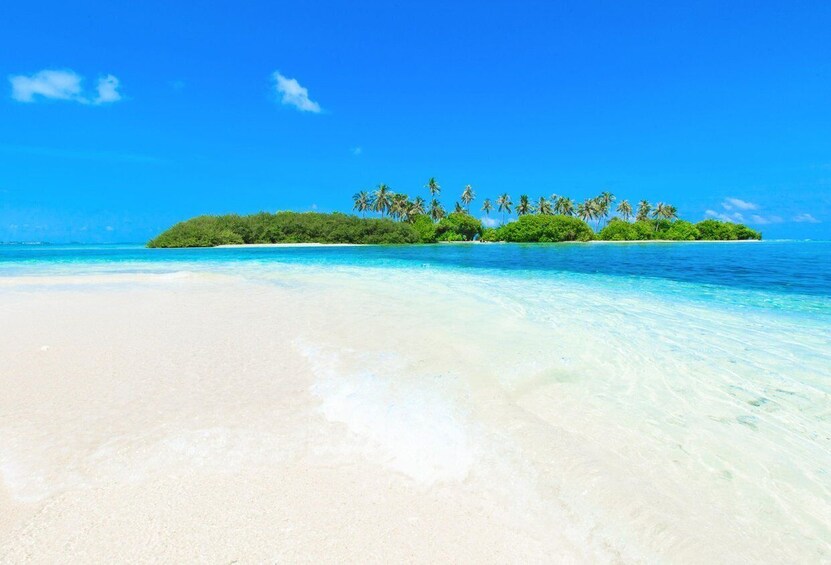 Picture 1 for Activity Maldives: 5-Day Advanced Open Water with Accommodation 4