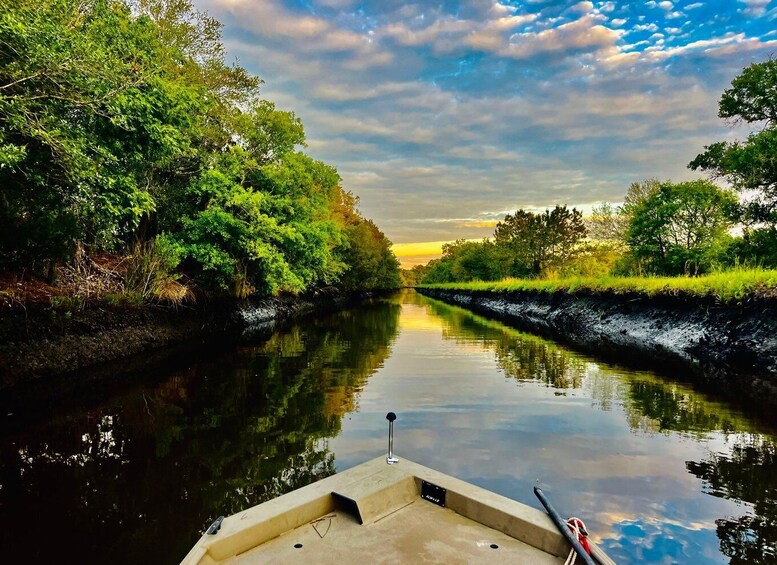 Picture 1 for Activity Charleston: Sunrise Marsh Ecotour Boat Charter 4