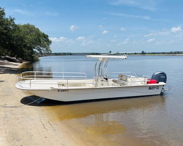 Picture 2 for Activity Charleston: Sunrise Marsh Ecotour Boat Charter 3