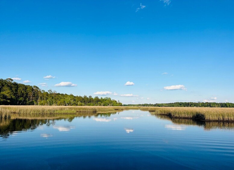 Charleston: Sunrise Marsh Ecotour Boat Charter 1