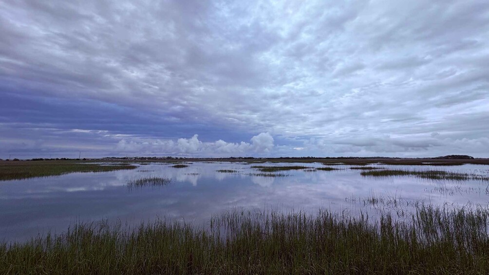 Picture 4 for Activity Charleston: Sunrise Marsh Ecotour Boat Charter 5