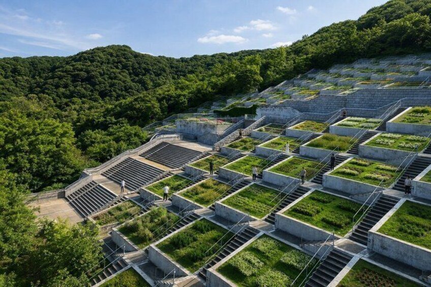 Espacios verdes escalonados con estructuras de concreto, rodeados de un bosque denso. 2