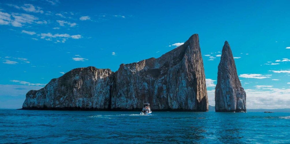 Kicker Rock: Scuba Diving Sightseeing Tour with 2 Dives and Full Gear 3