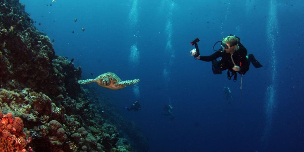 Picture 1 for Activity Kicker Rock: Scuba Diving Sightseeing Tour with 2 Dives and Full Gear 2