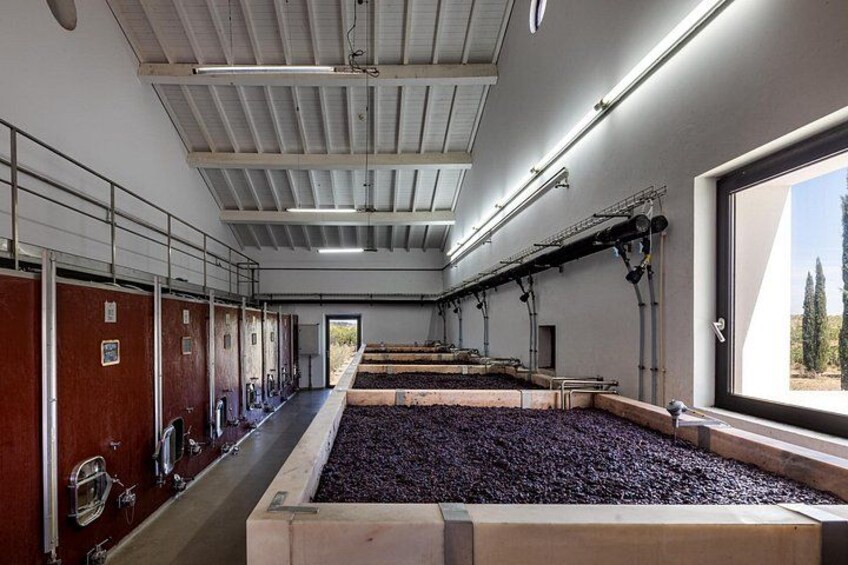 A large indoor facility with rows of wooden boxes and metal racks, likely for processing or storing materials. 5