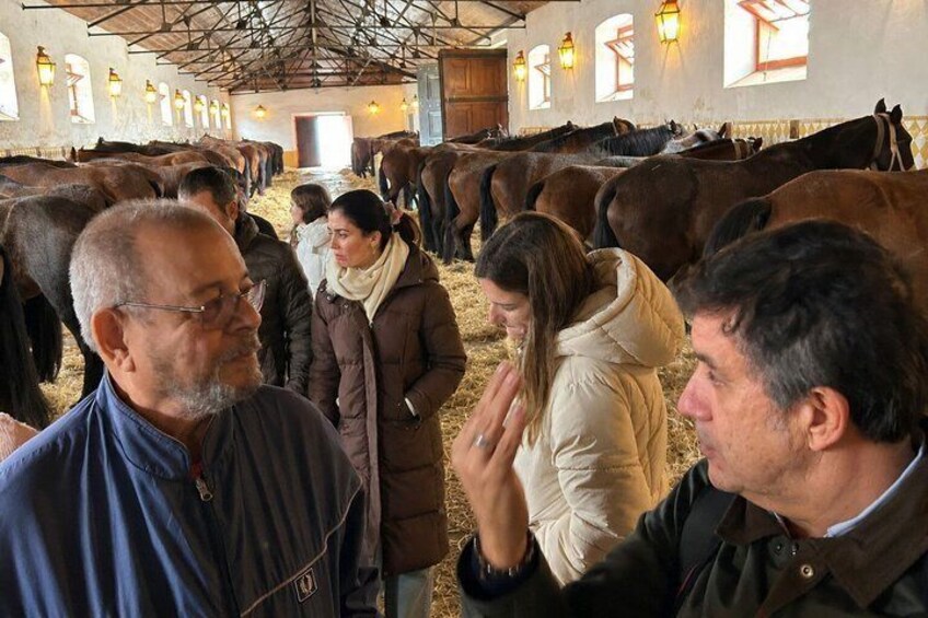 From Lisbon: Hidden Alentejo Wine & Royal Lusitano Horses 2