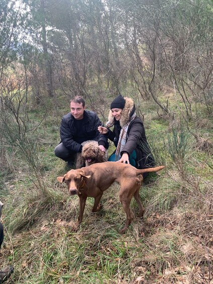 Picture 8 for Activity Truffle Experience in the Marche Hills 3