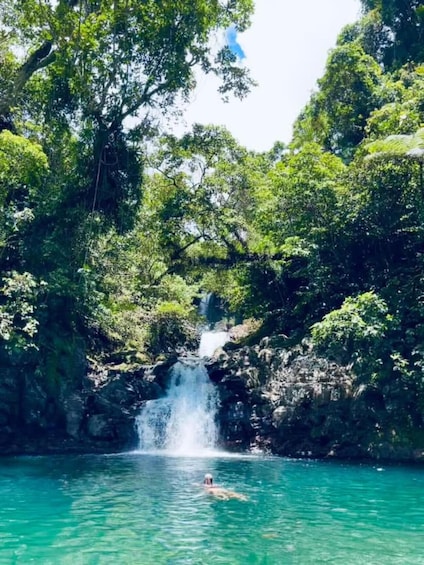 A waterfall, lush greenery, and a person swimming in clear water. 5