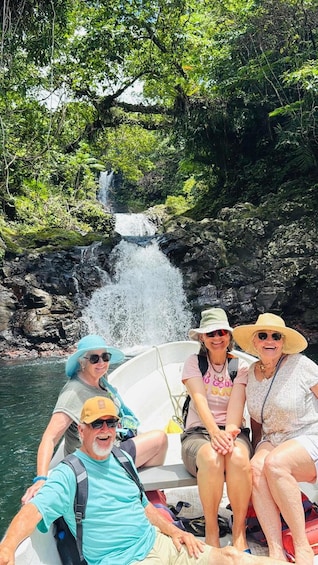Picture 4 for Activity Taveuni: Lavena Village Triple Waterfalls Boat Adventure 3