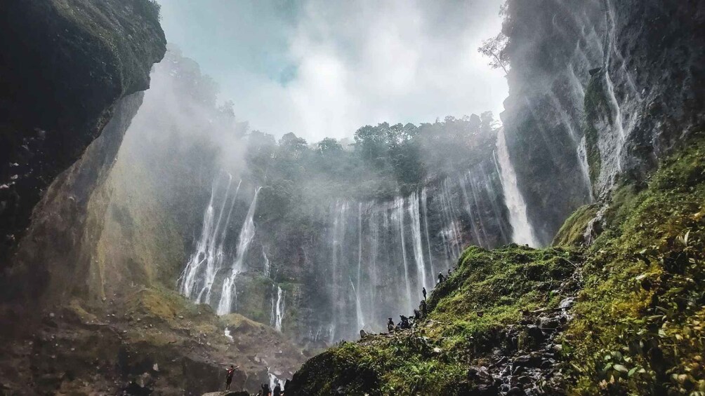 Picture 4 for Activity Tumpak Sewu Waterfall Tour with Photos & Transfers 2