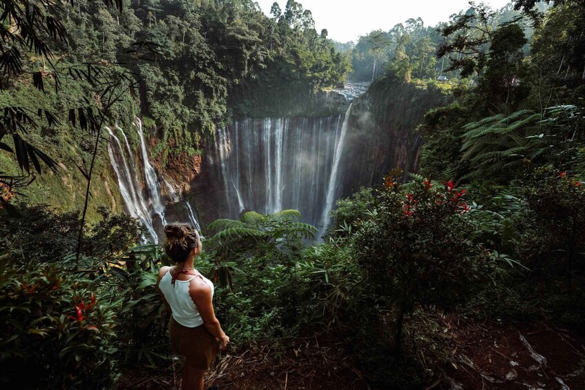 Picture 3 for Activity Tumpak Sewu Waterfall Tour with Photos & Transfers 3