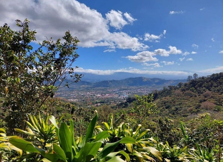 A mountainous landscape with a town in the valley, lush greenery, and a partly cloudy sky. 3