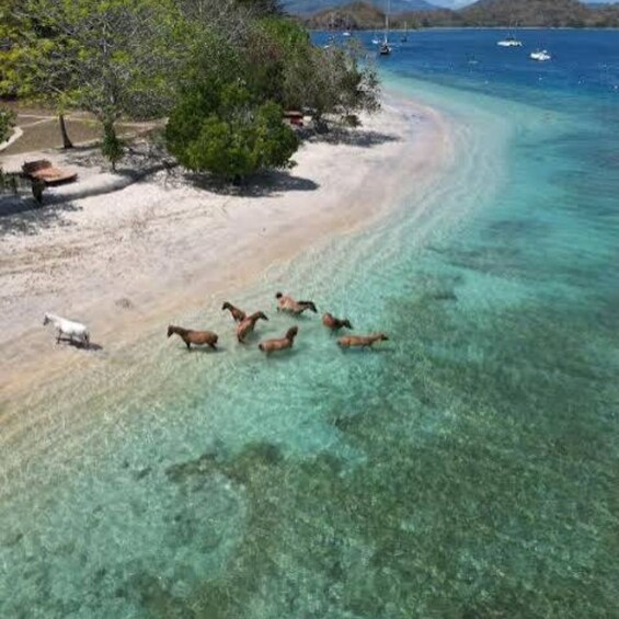 A beach with clear turquoise water, a sandy shore, and a few boats in the distance. 3