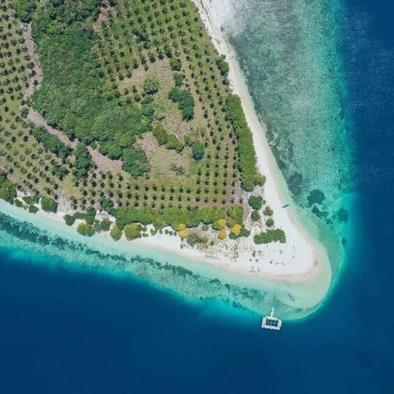 An aerial view of a coastal area with dense vegetation and a clear, turquoise sea. 4