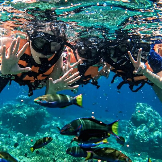 Two people snorkeling underwater with fish around them. 5