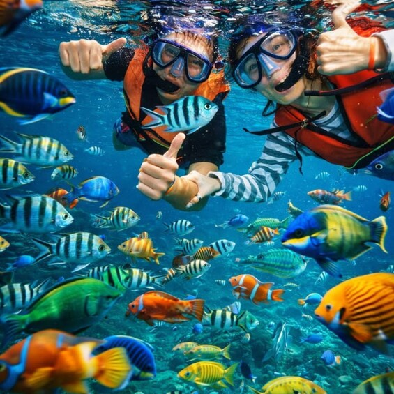 Two people underwater giving a thumbs up surrounded by colorful fish. 2