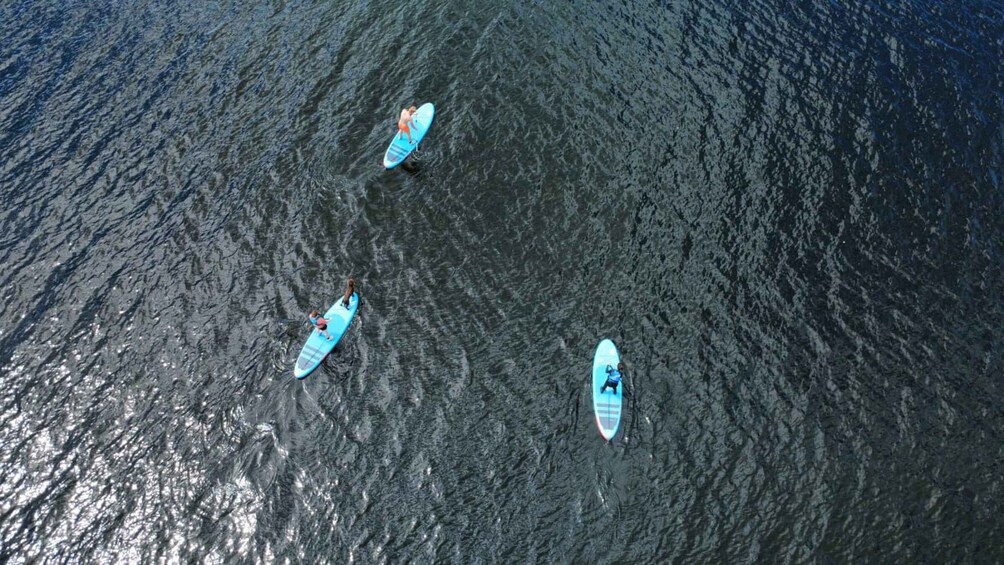 Picture 3 for Activity Lake District: Introduction to Paddleboarding 3