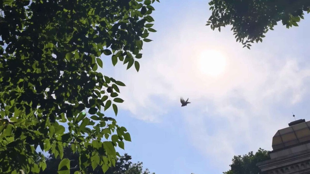 Picture 7 for Activity Hangzhou: West Lake Hills Heart-Loop Scenic Private Day Tour 2