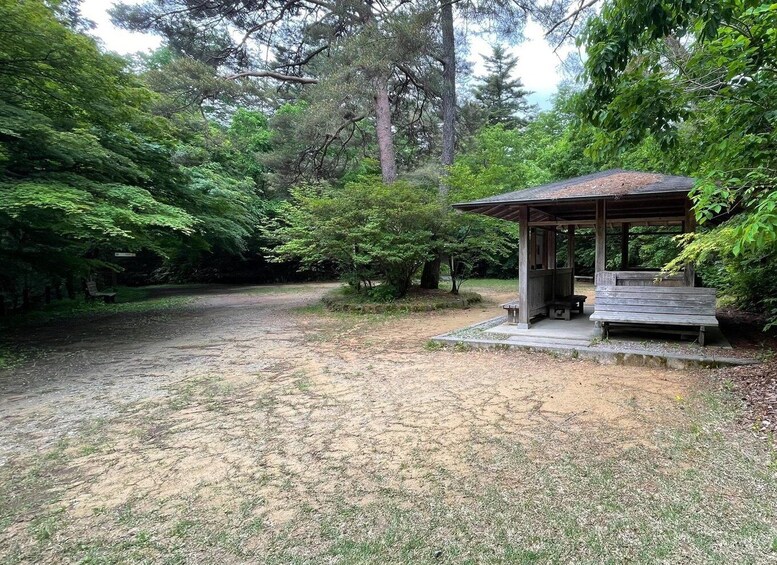 A covered pavilion with benches in a forested area. 3